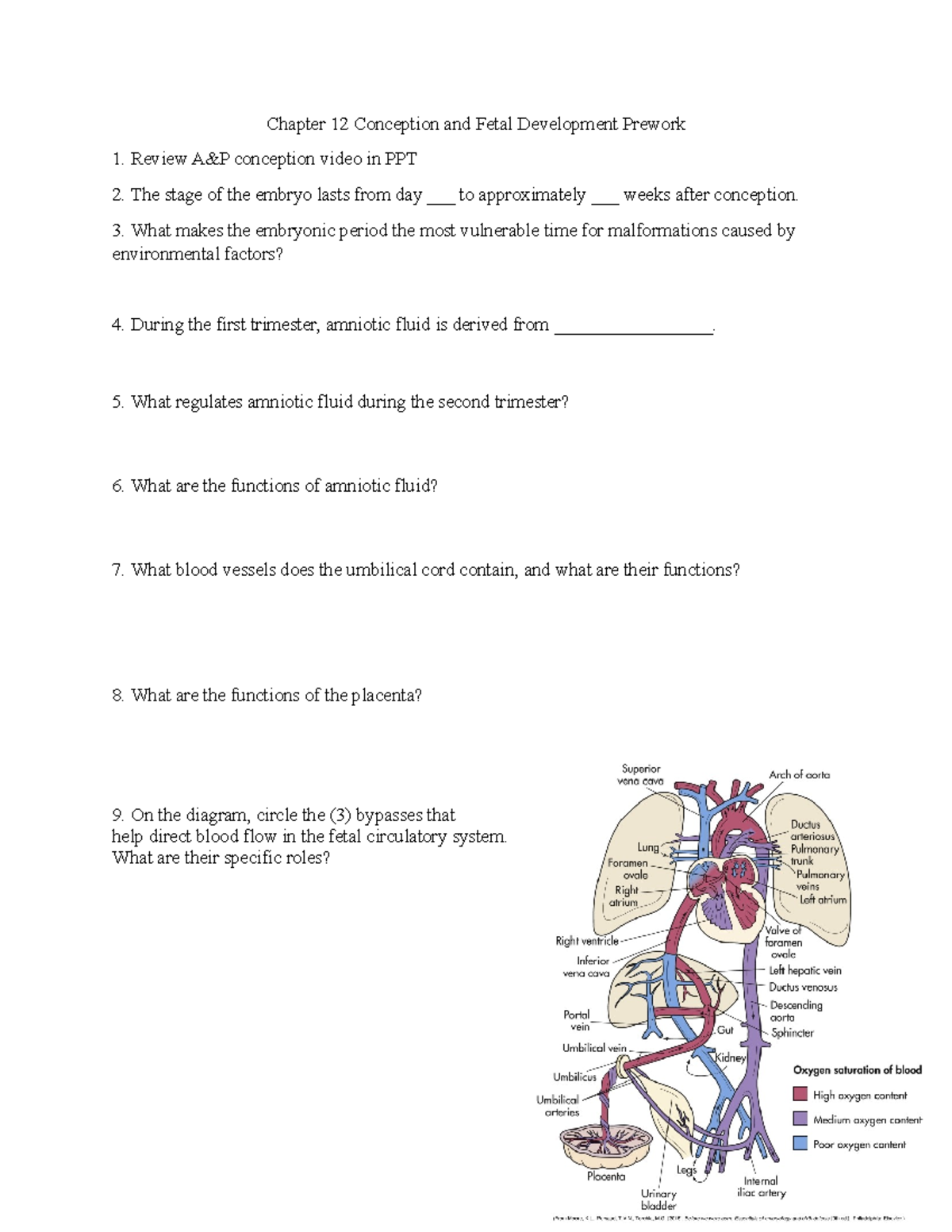 Chapter 12 Conception and Fetal Development Prework - What makes the ...