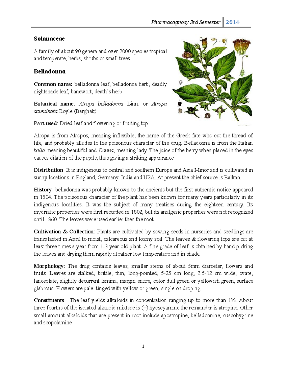 2.6 Solanaceae - Revision lecture - Solanaceae A family of about 90 ...