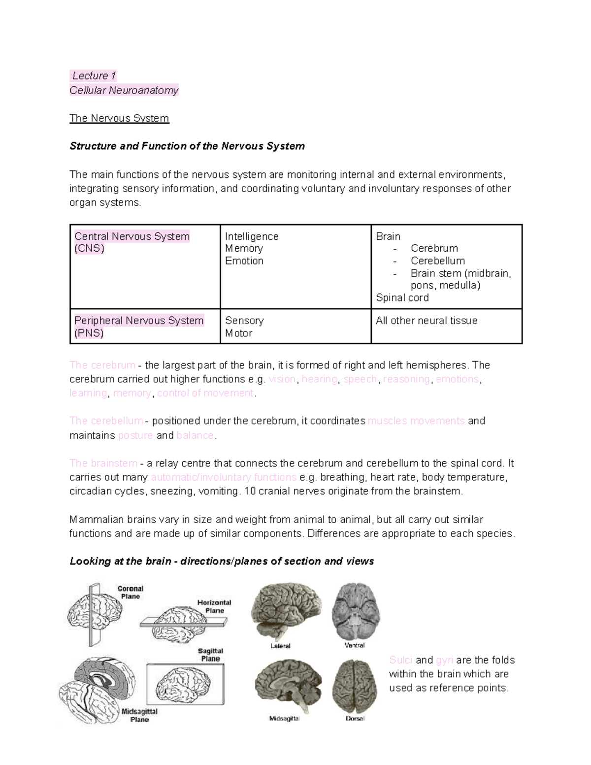 BMS2011 L1 - Lecture 1 - Lecture 1 Cellular Neuroanatomy The Nervous ...