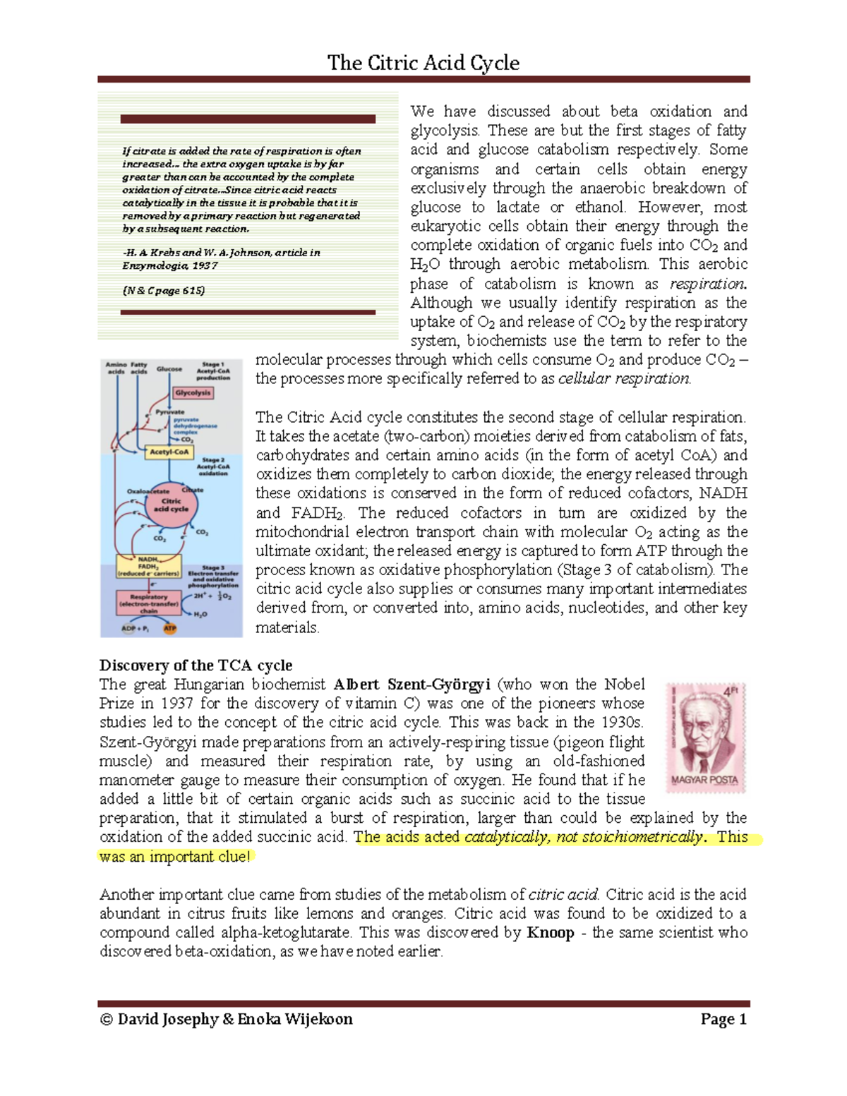 [11] Citric Acid Cycle - We have discussed about beta oxidation and ...