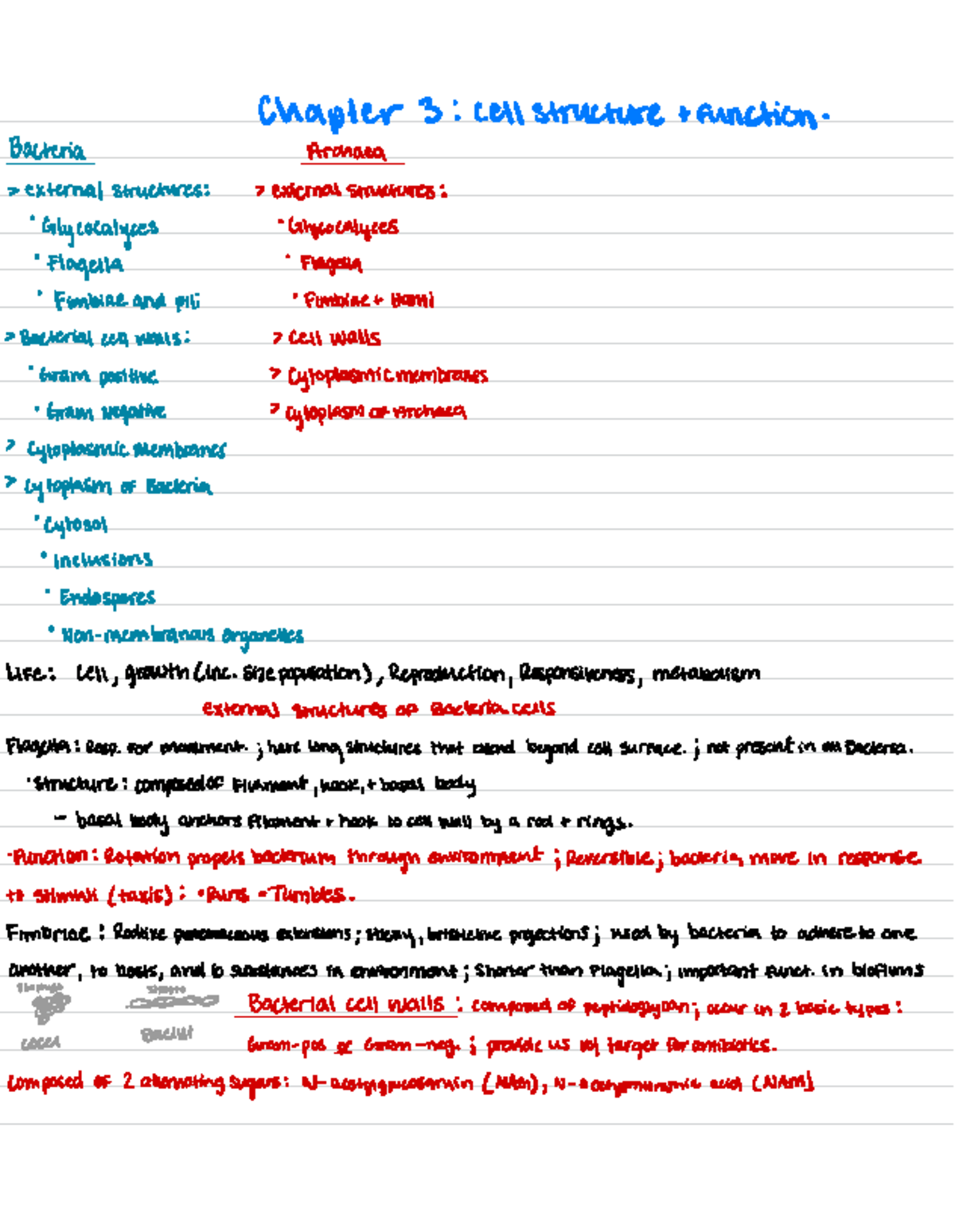 Microbio 3 - cell structure and function ch.3-Prof. Bejnood - Chapter 3 ...