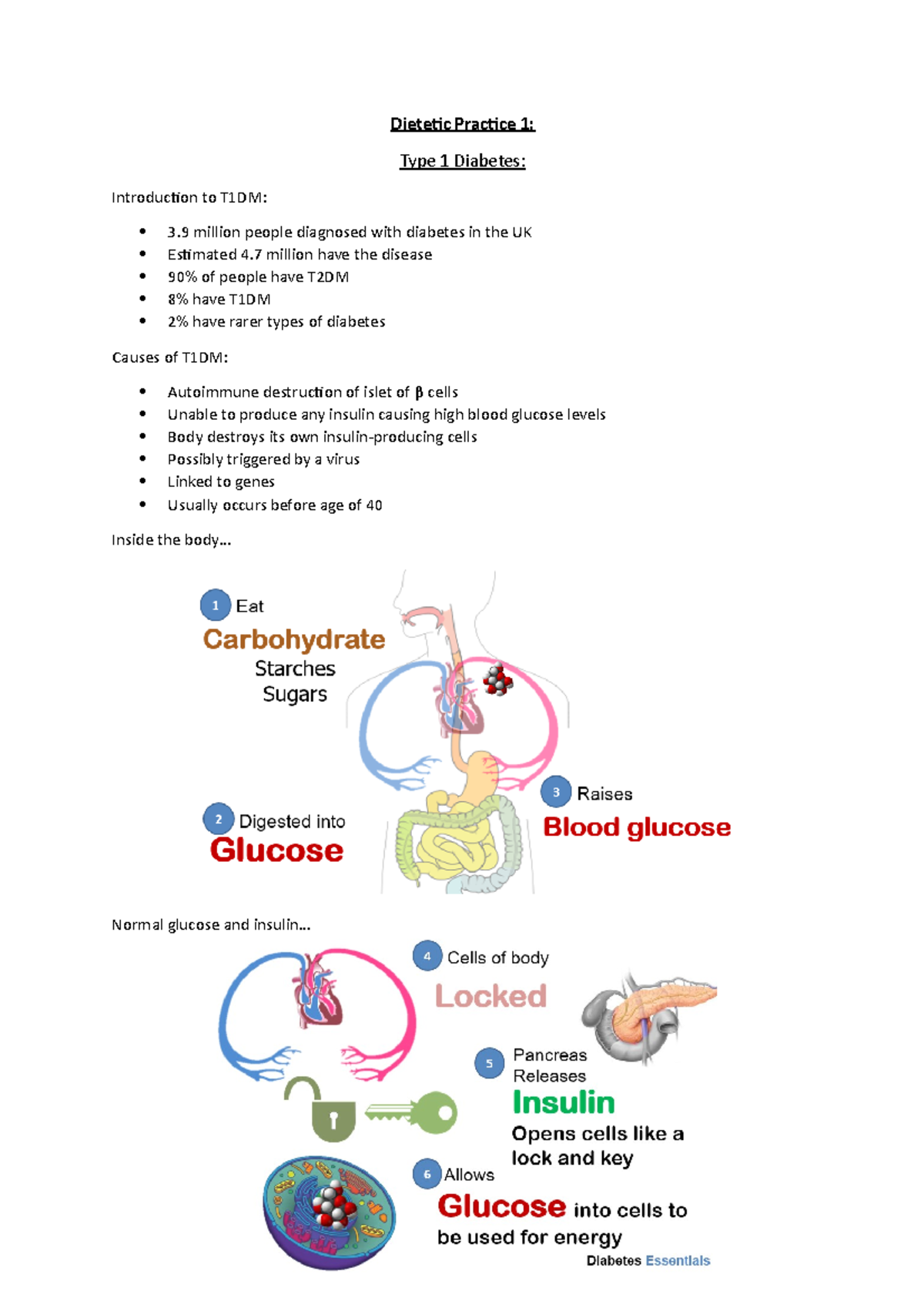 Lecture 7 - T1DM - Dietetic Practice 1: Type 1 Diabetes: Introduction ...