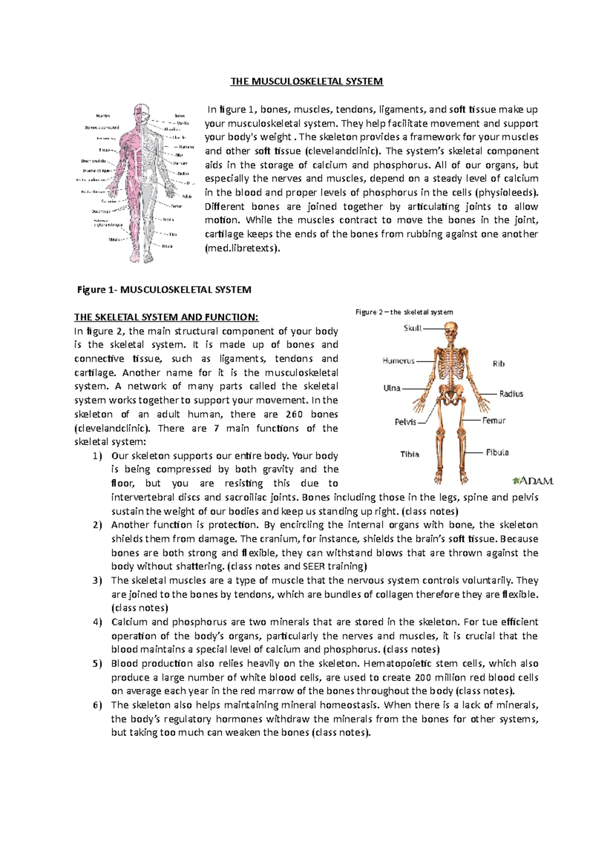 unit 8 assignment 1 musculoskeletal system