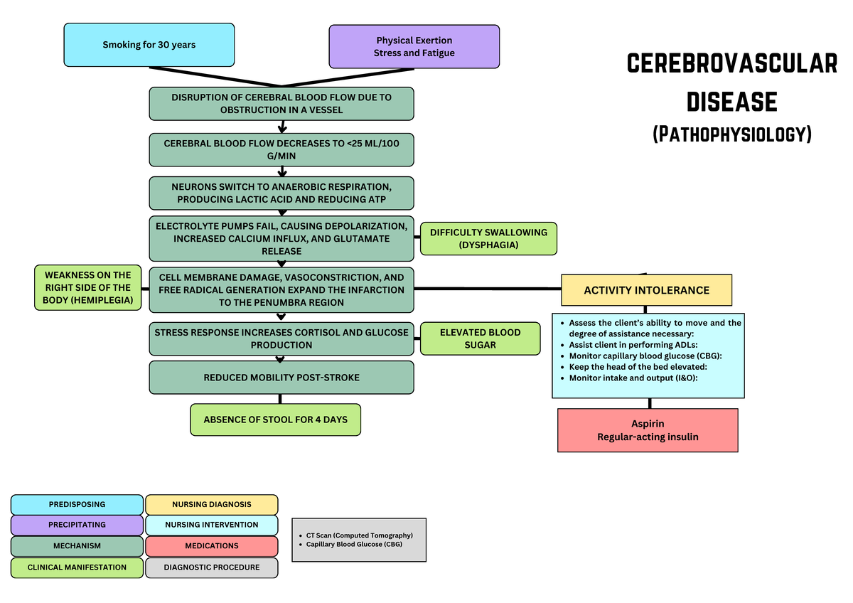 Stroke - Patho - cerebrovascular disease (Pathophysiology) CEREBRAL ...