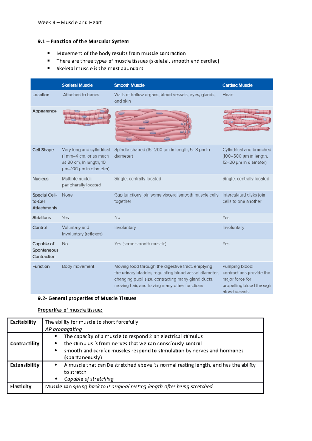 L4 - Muscules and heart - Lecture notes 4 - 9 – Function of the ...