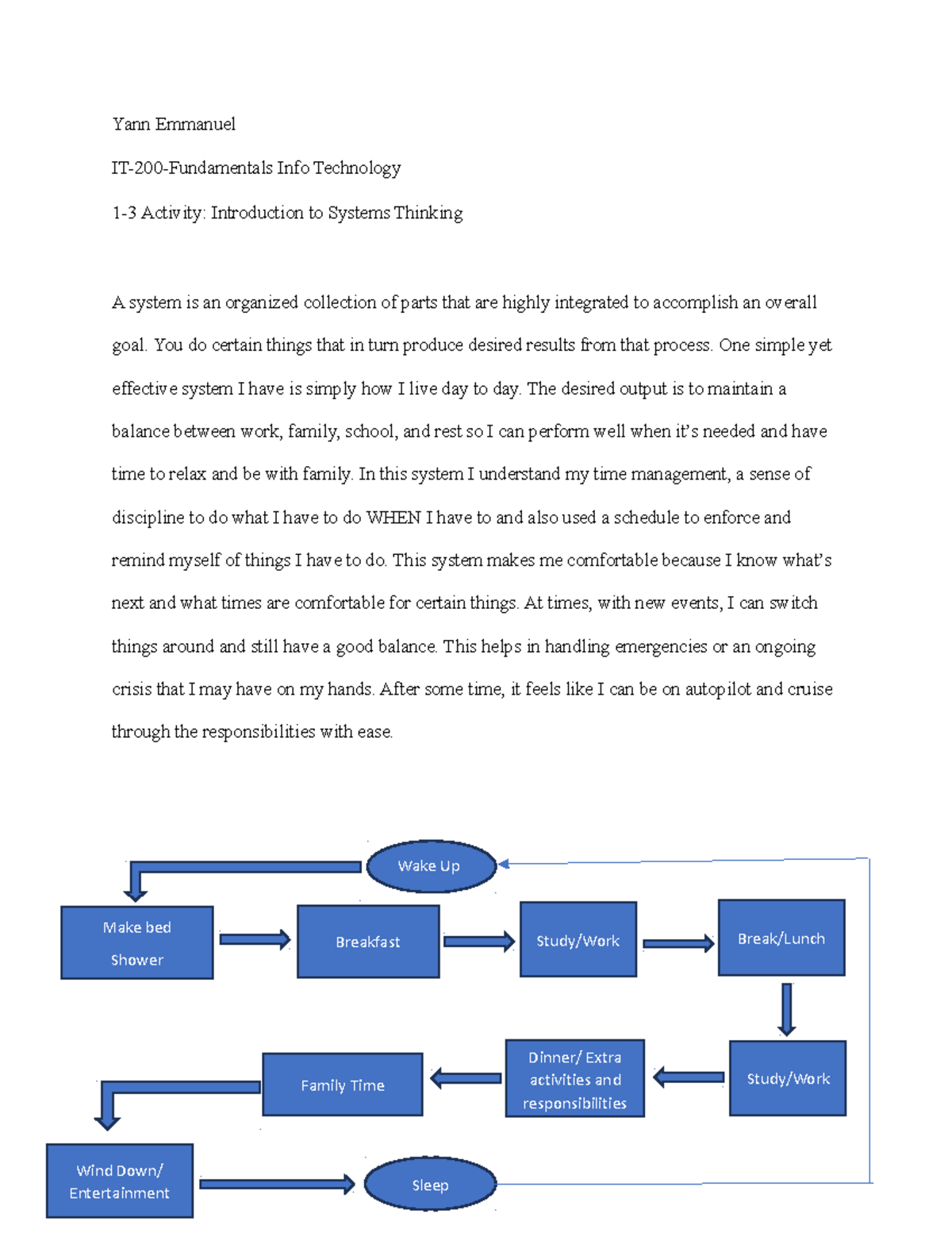 1 4 activity intro to systems thinking yann emmanuel yann emmanuel it