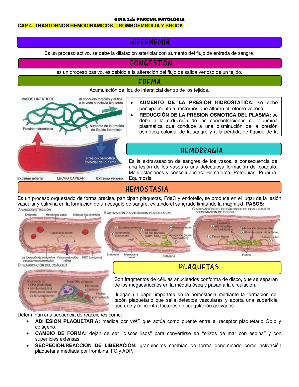 TRASTORNOS HEMODINÁMICOS, TROMBOEMBOLIA Y SHOCK - Es Un Proceso Pasivo ...