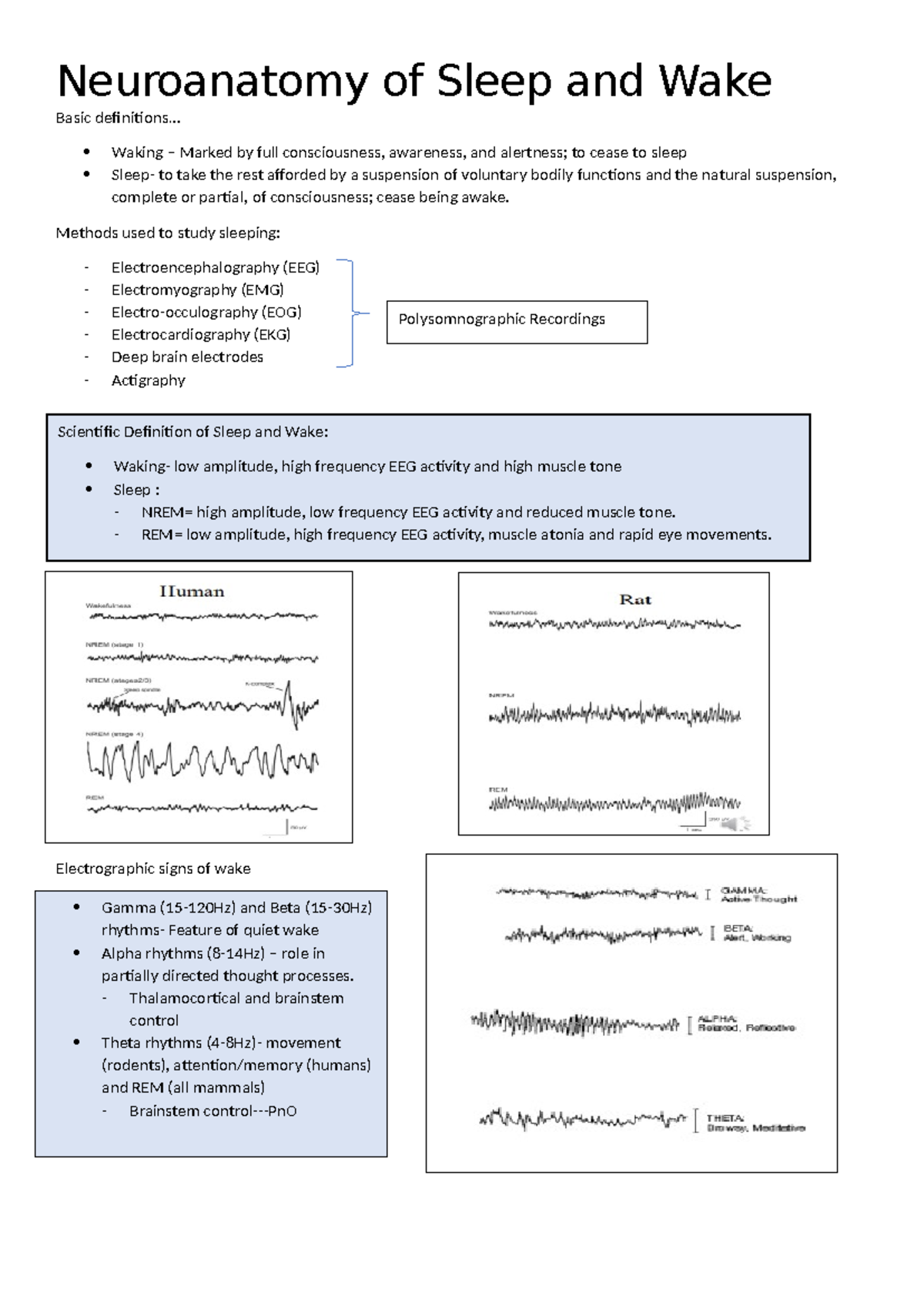 Neuroanatomy of Sleep and Wake - .. Waking – Marked by full ...