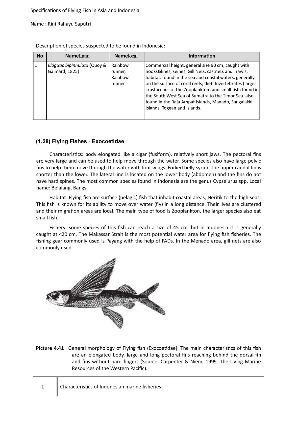 Specifications of Flying Fish in Asia and Indonesia - 1 Characteristics of  Indonesian marine - Studocu