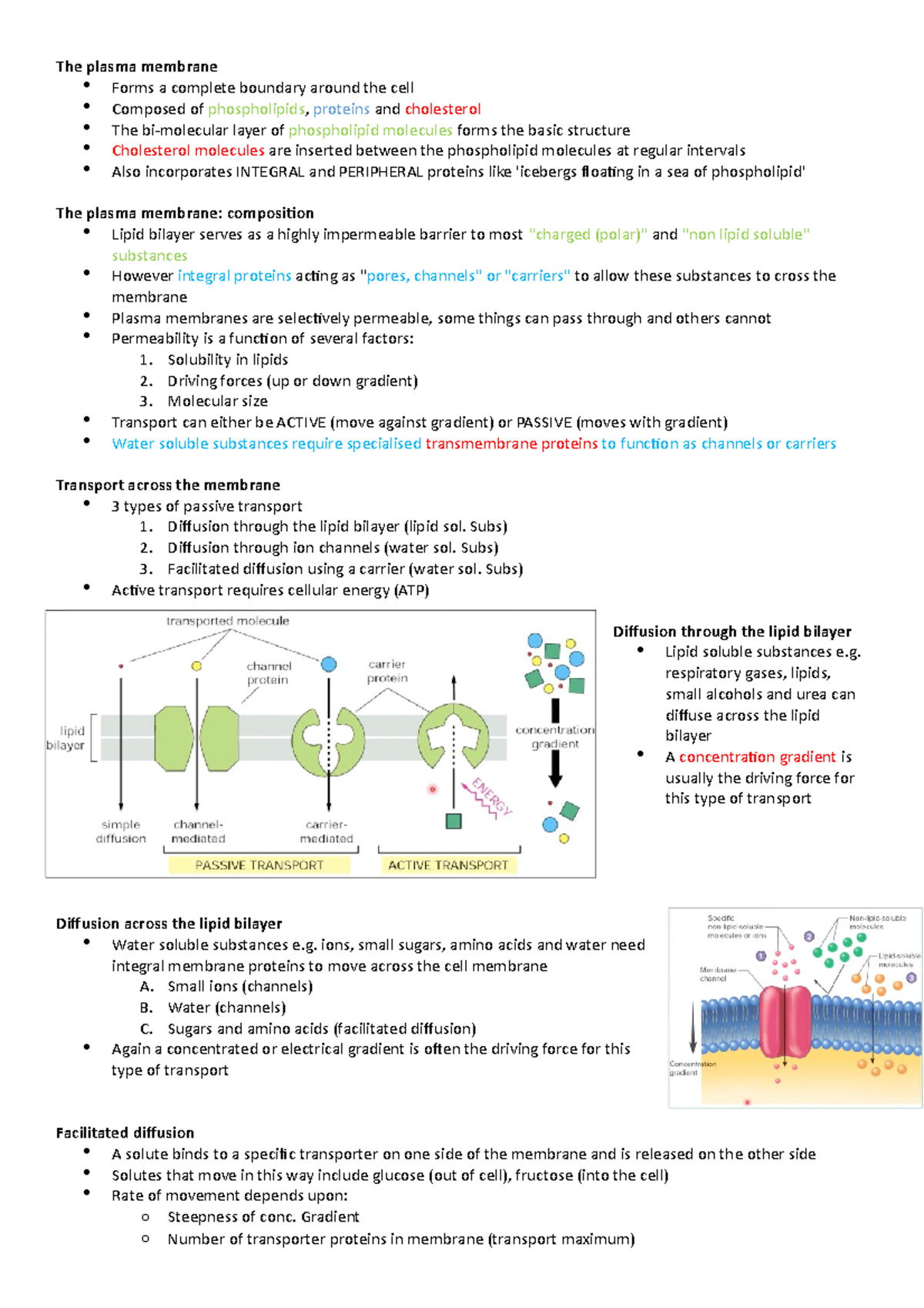 Compendium 5 - lecture notes - The plasma membrane Forms a complete ...