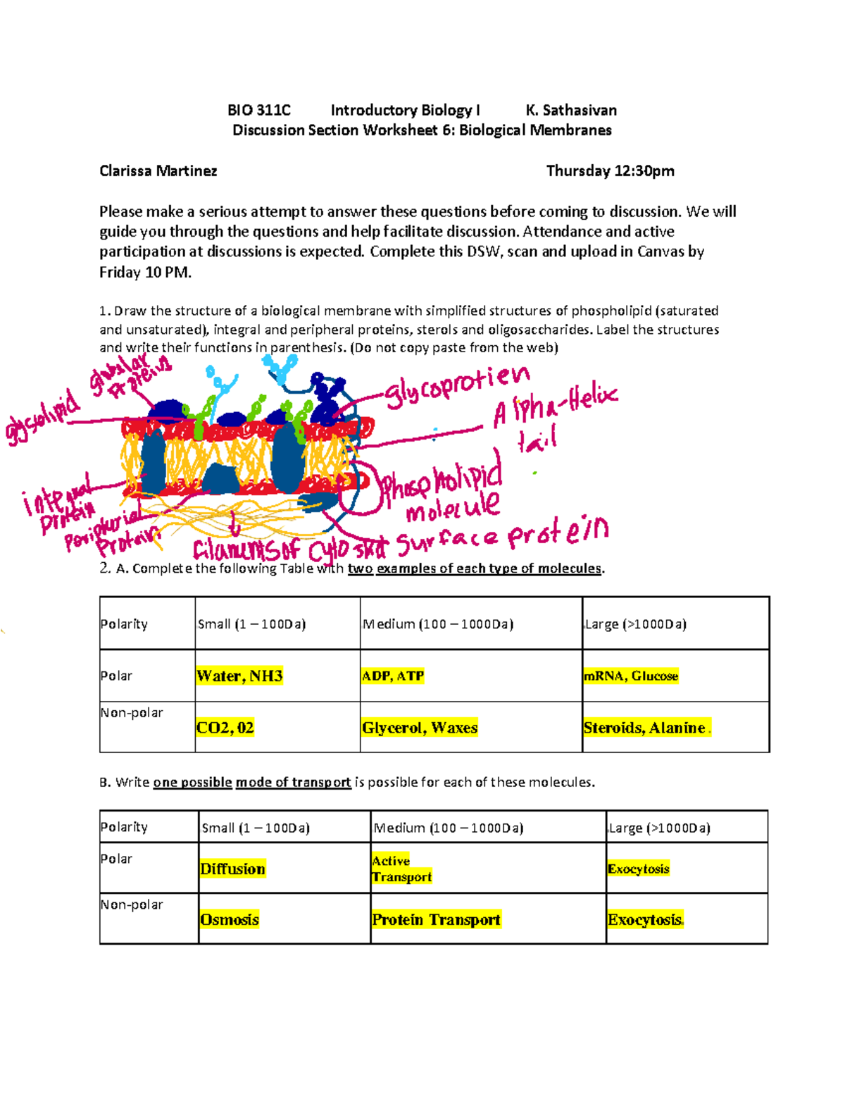 DSW 6. Biol Membranes - Spring 2024 - BIO 311C Introductory Biology I K ...