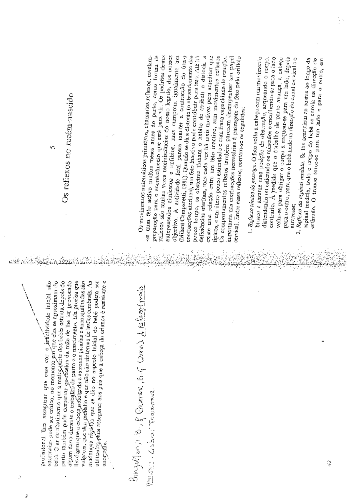 Comportamentos e competências do recémnascido Brazelton Psicologia