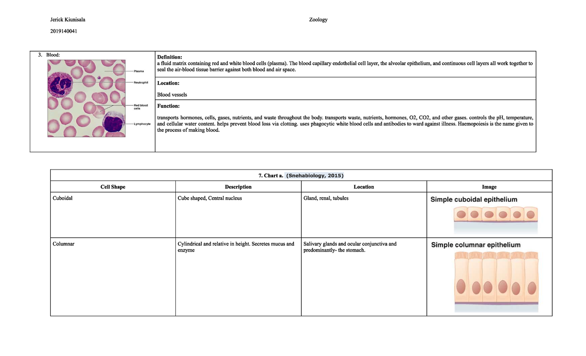 Stu1 - Pseudostratified - General Zoology - Studocu