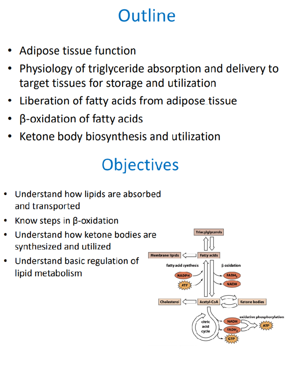 Lecture 35 Fatty Acid Metabolism (self notes) - BIO 361 - Studocu