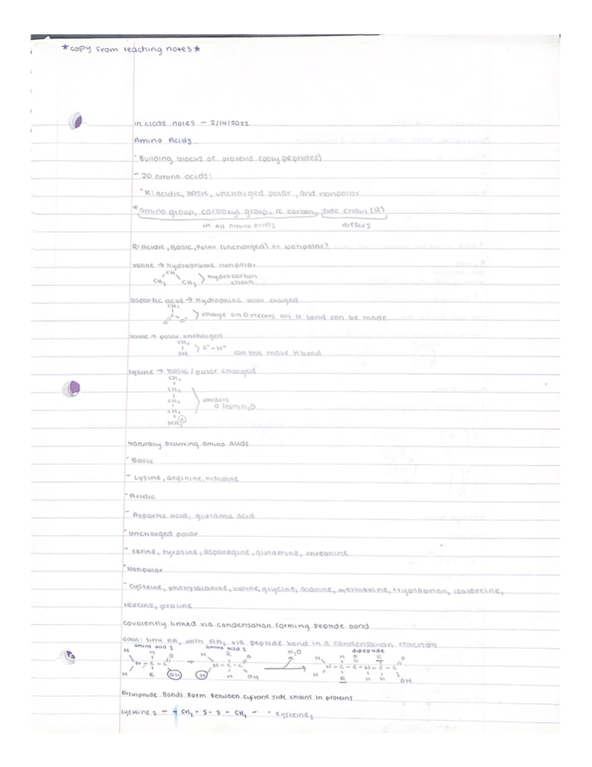 Bios 041 lecture notes spring 2022 - BIOS 041 - Studocu