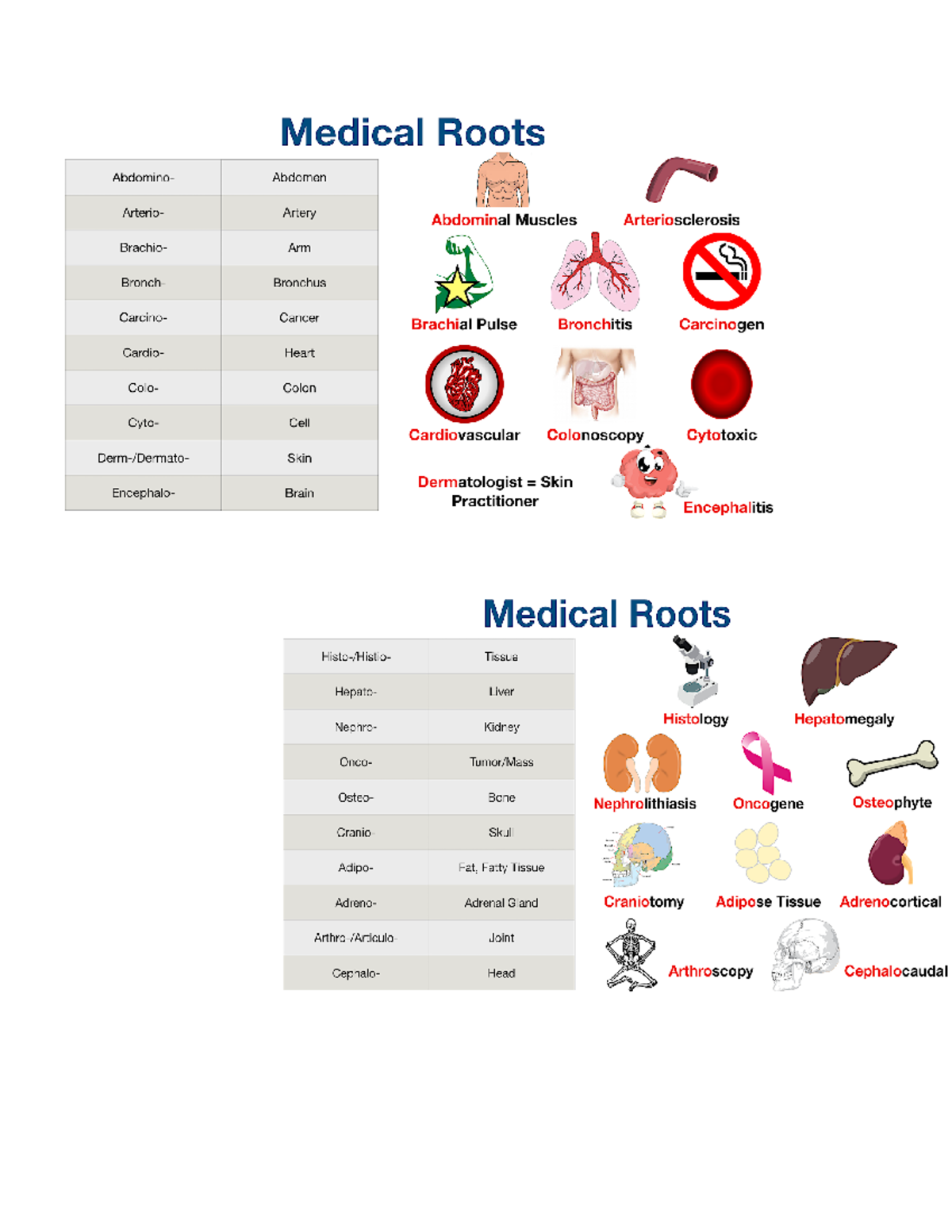 Med roots abreviations - nur 1128 - Studocu