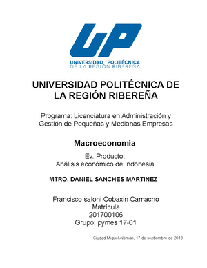 Analisis Economico DE Indonesia - Francisco Saloh Cobaxin Camacho