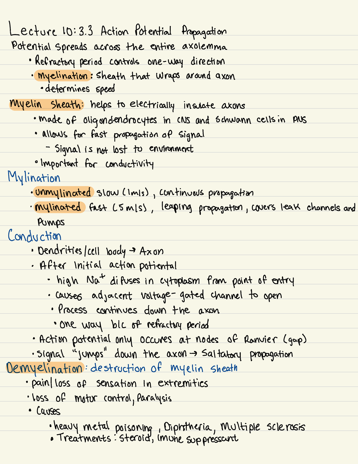 Bio 141 Notes - Action Potential Propagation - Lecture 10.3 Potential ...