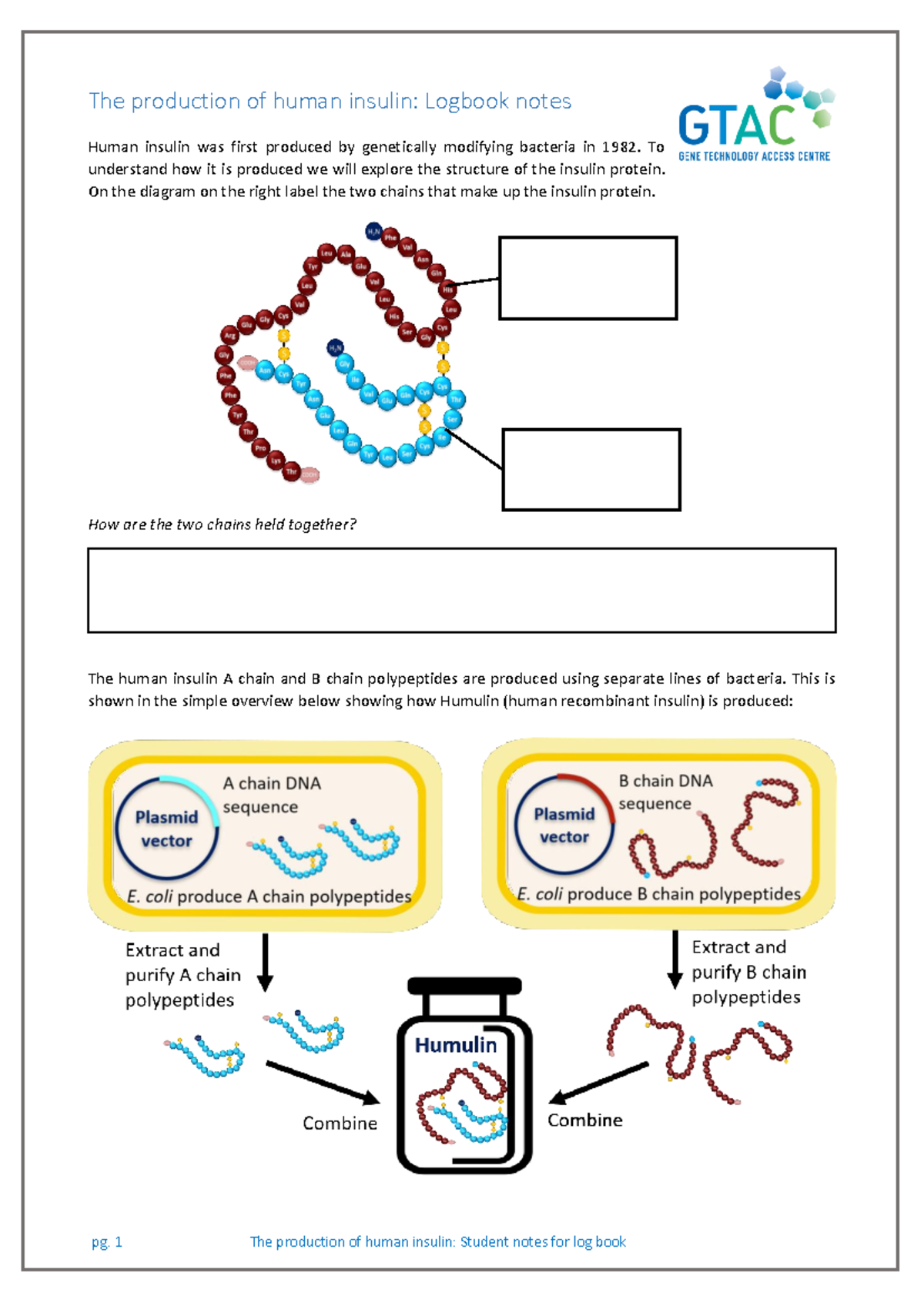 Gene cloning for insulin production student logbook v1 - pg. 1 The ...