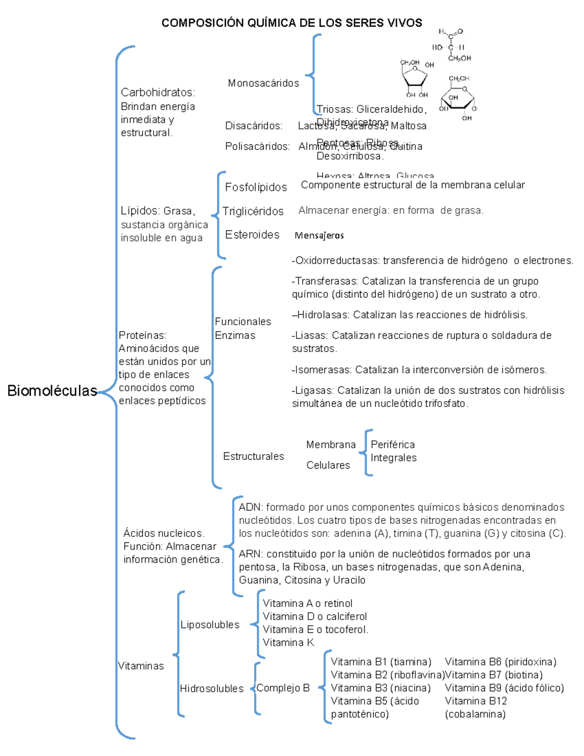 Composicion quimica - biomoléculas - COMPOSICIÓN QUÍMICA DE LOS SERES ...