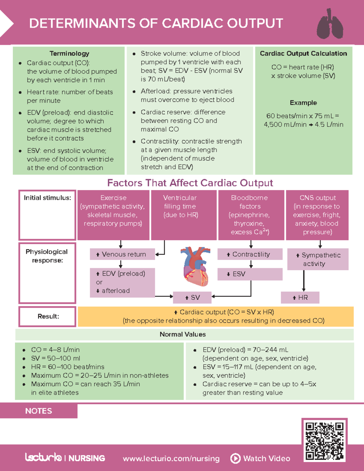 Nursing CS Determinates of cardiac output-1 - lecturio/nursing Watch ...