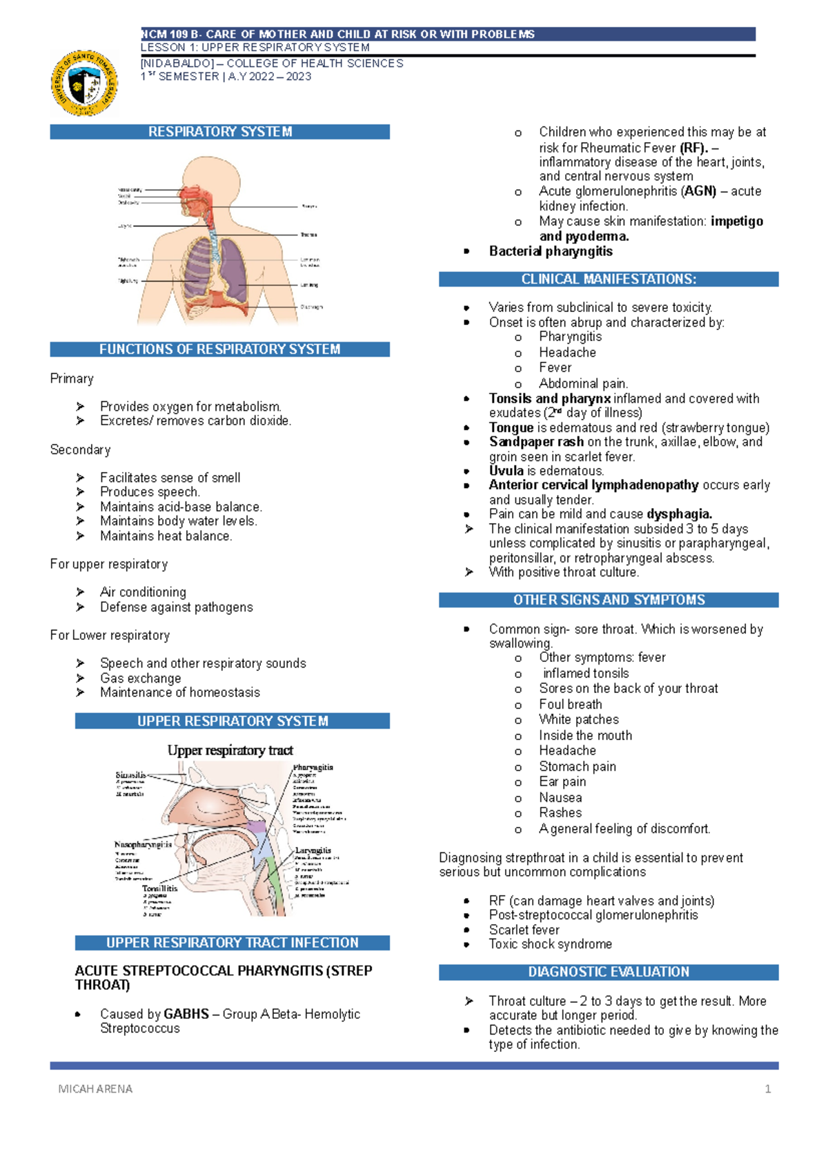 Respiratory System- Upper Respiratory - RESPIRATORY SYSTEM FUNCTIONS OF ...