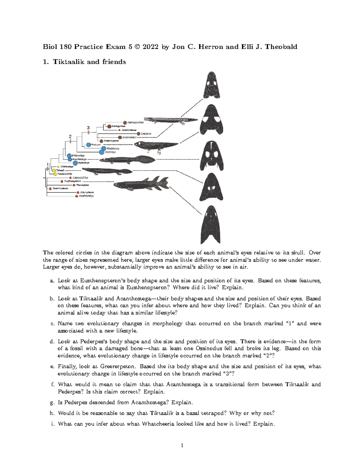 Pe5-2022spr-questions - Biol 180 Practice Exam 5 © 2022 By Jon C ...