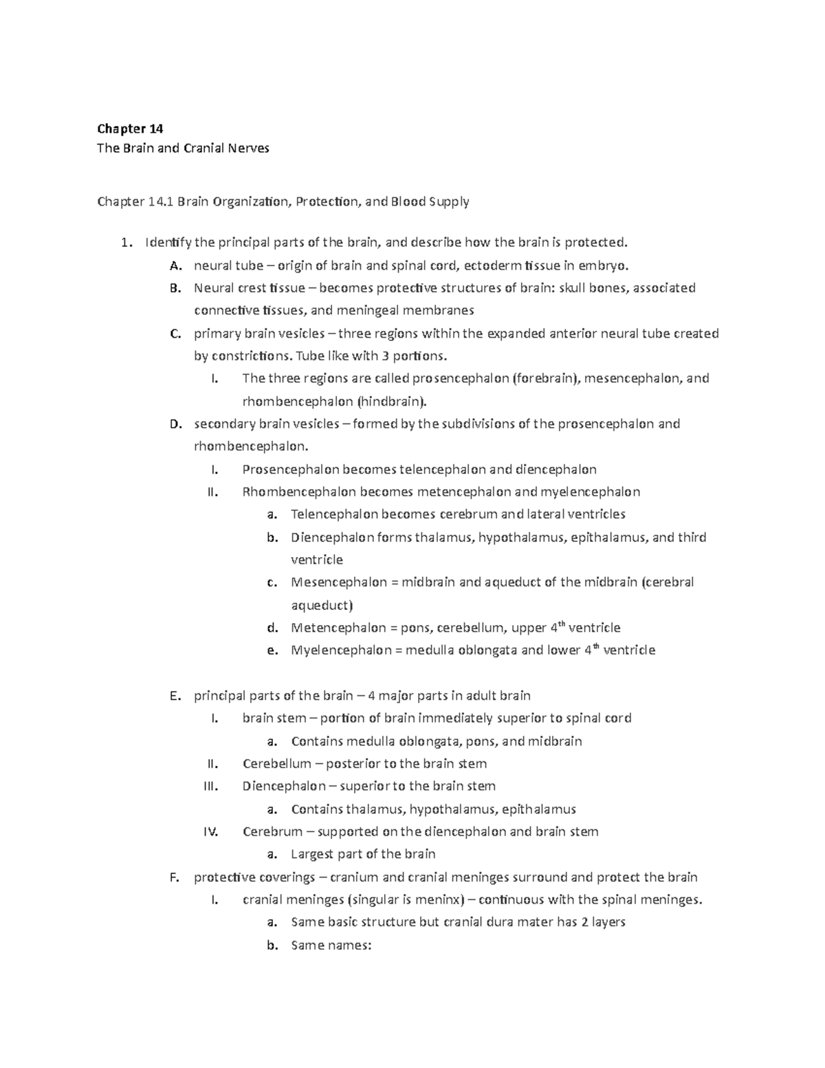 Chapter 14 THE Brain - Chapter 14 The Brain and Cranial Nerves Chapter ...