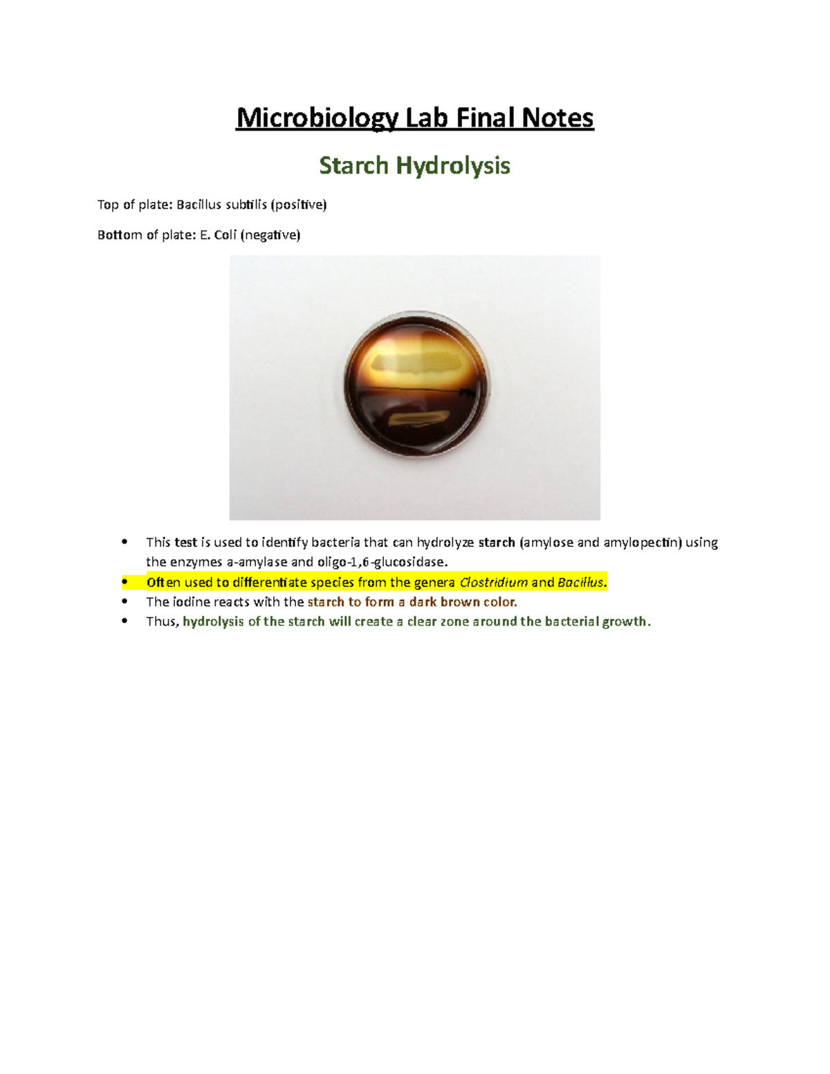 Micro Lab Final Notes MCB2010L Studocu