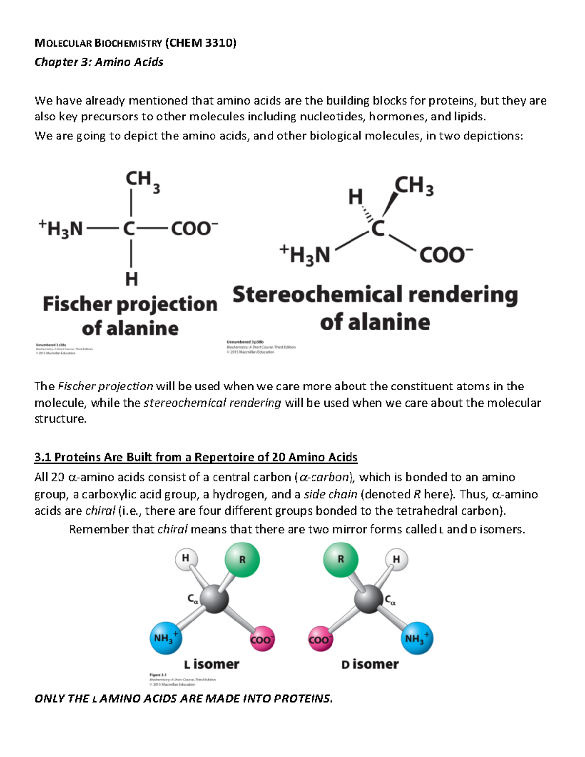 Biochem Ch. 3 - Chapter 3 Notes - MOLECULAR BIOCHEMISTRY (CHEM 3310 ...