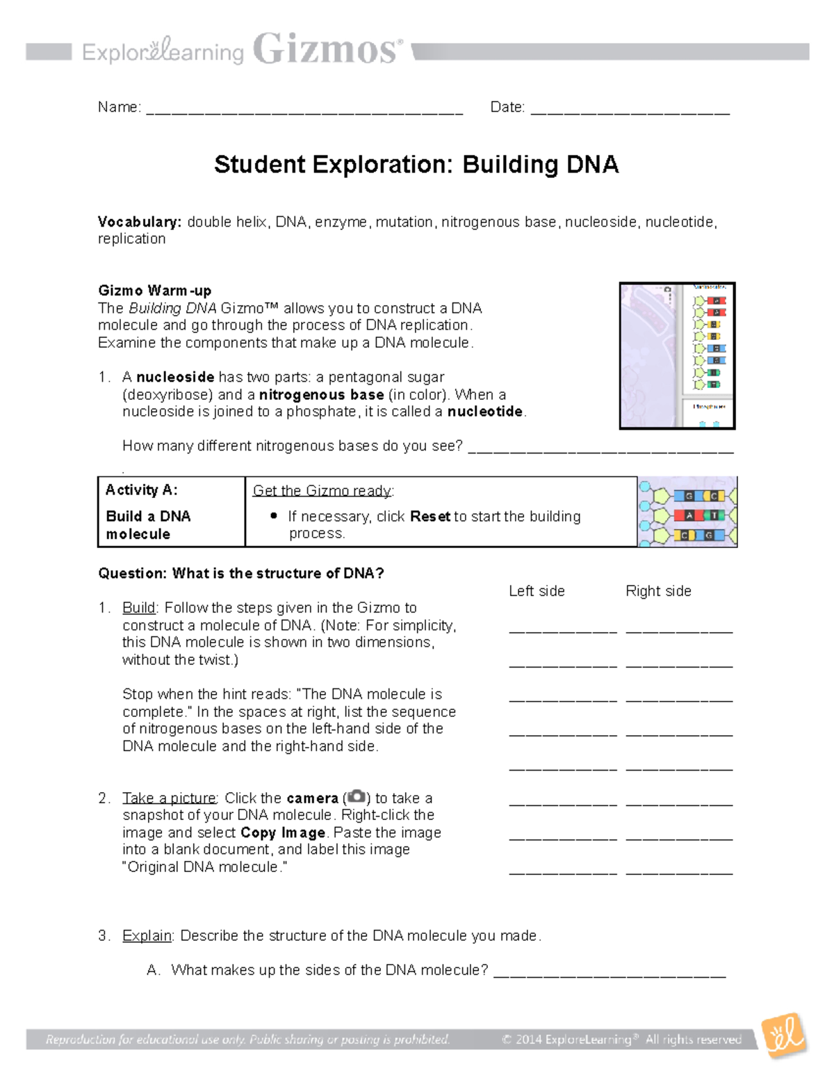 Building DNA Gizmo - Examine the components that make up a DNA molecule ...