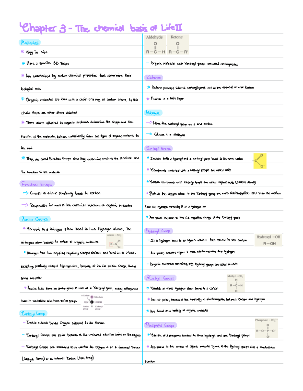 Biology 224 - BIOL 224 chapter 3 notes - Chapter 3- The chemical basis ...