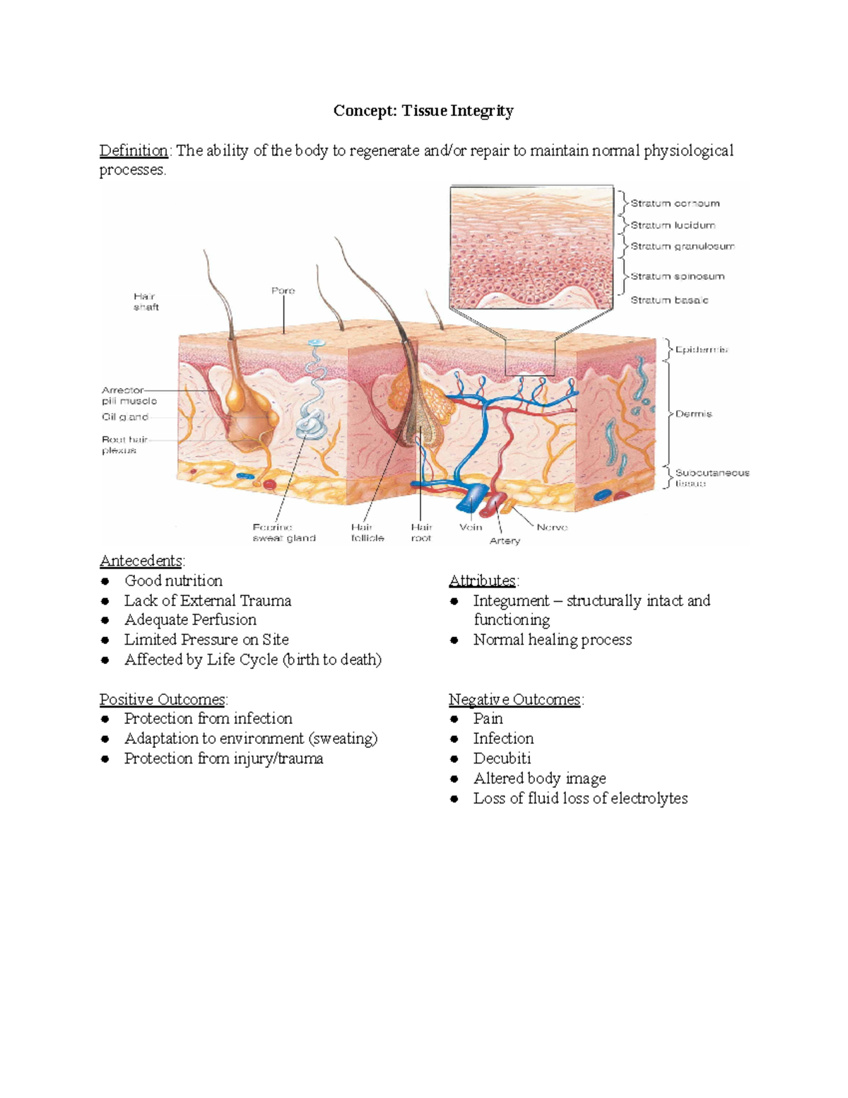 L4 Exam 5 Tissue Integrity Concept Tissue Integrity Definition The Ability Of The Body To 6366