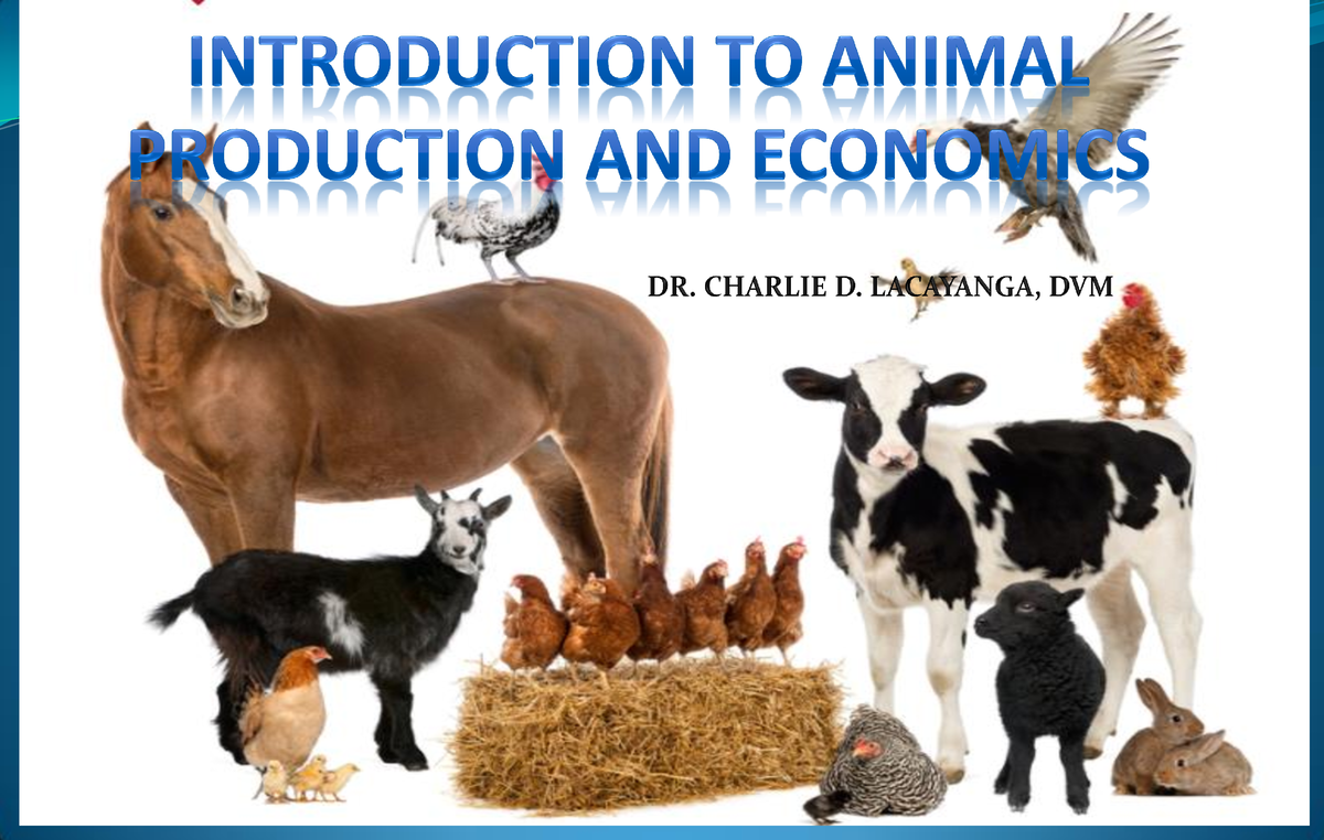 undergraduate research topics in animal production