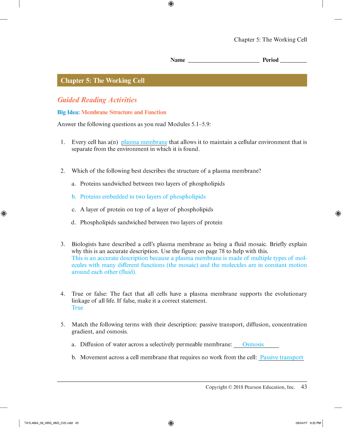 Ch 5 Review with Answers - BIOLOGY 121 - Studocu