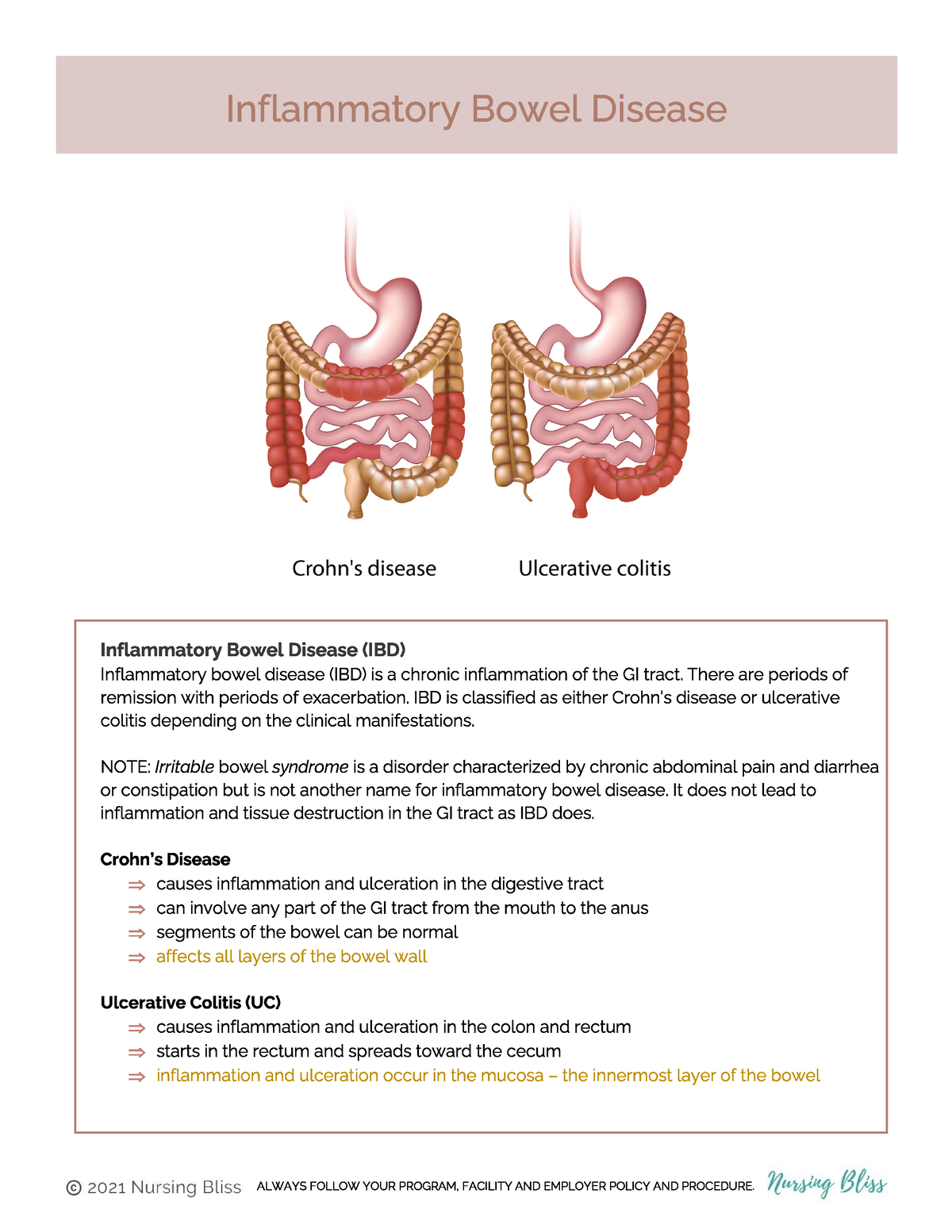 Irritable Bowel Syndrome - NU 110 - Studocu