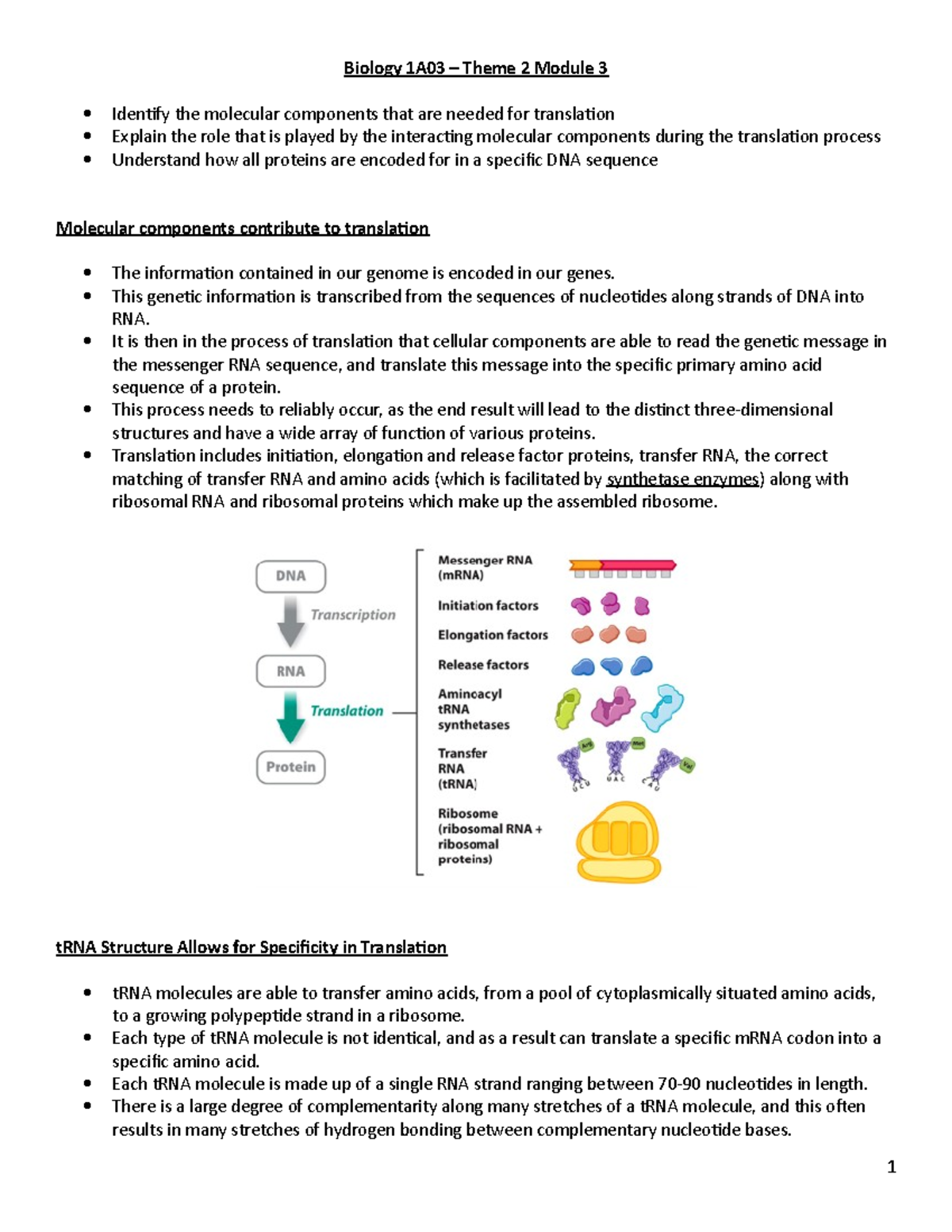 Biology 1A03 – Theme 2 Module 3 - Biology 1A03 – Theme 2 Module 3 ...