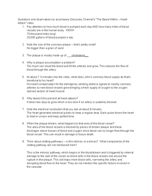 assignment discovery an inside look at the flu answer key