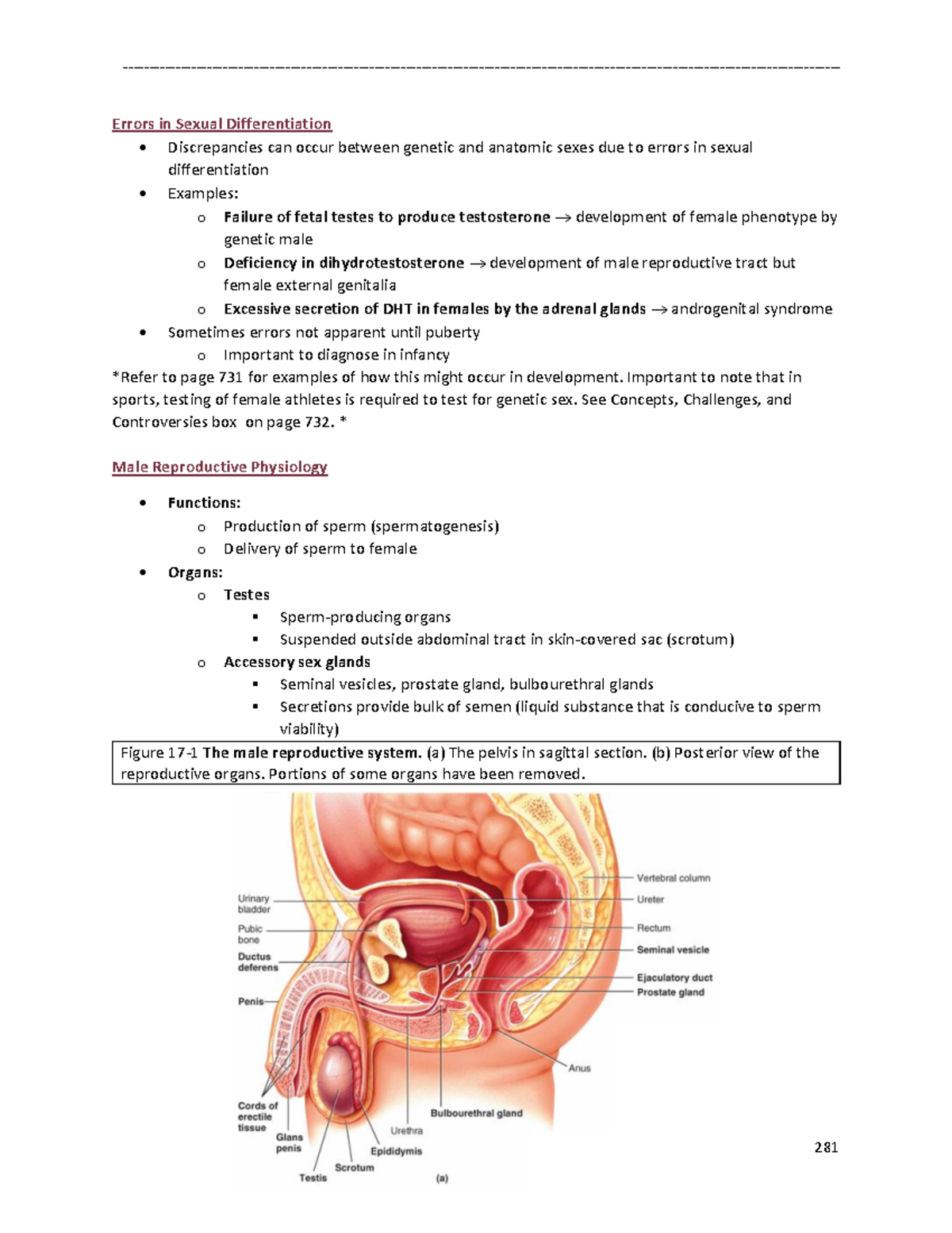 Human Physiology II Notes29 Errors in Sexual Differentiation