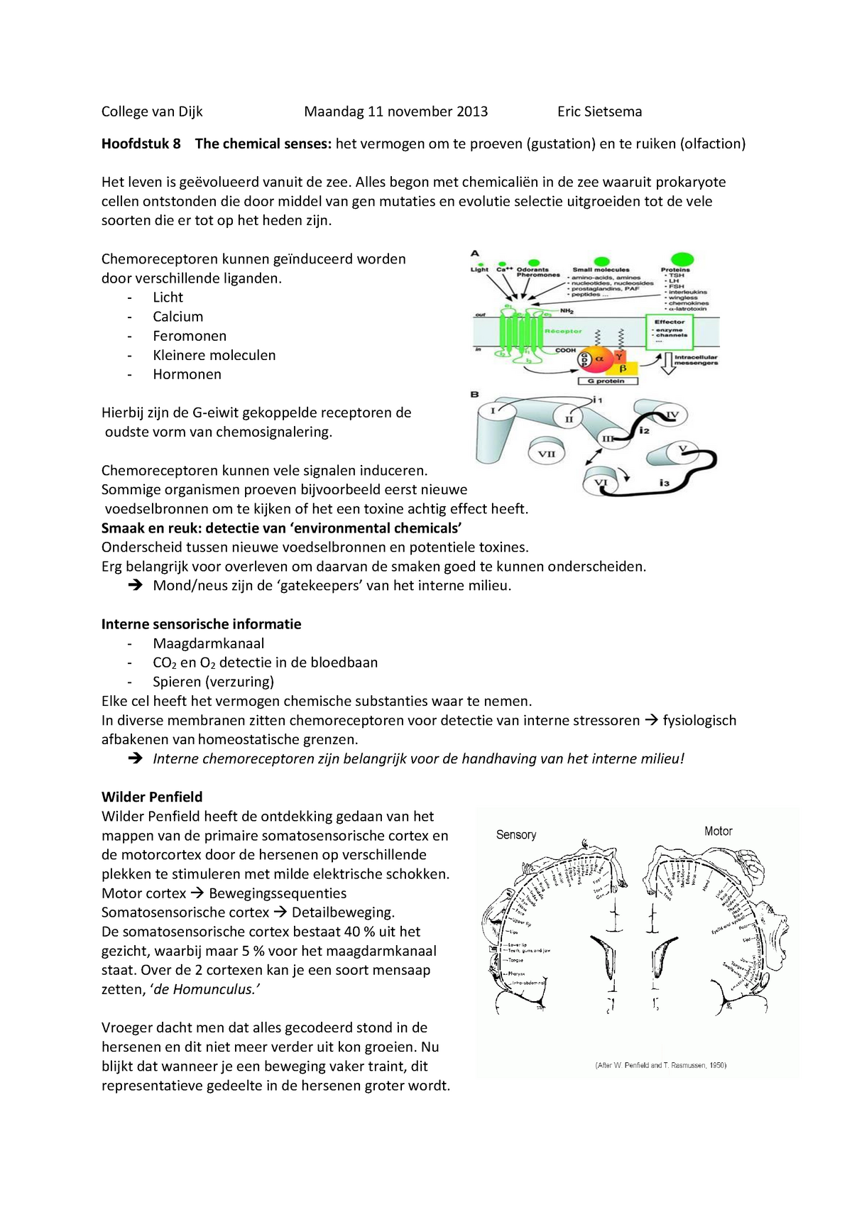 Samenvatting Integratieve Neurobiologie - Compleet - College Van Dijk ...