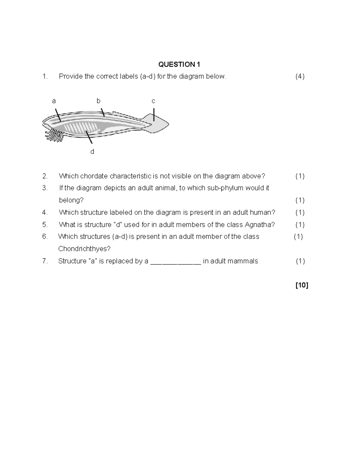 SBIB 000 quiz 2024 - practice/study with this - QUESTION 1 Provide the ...