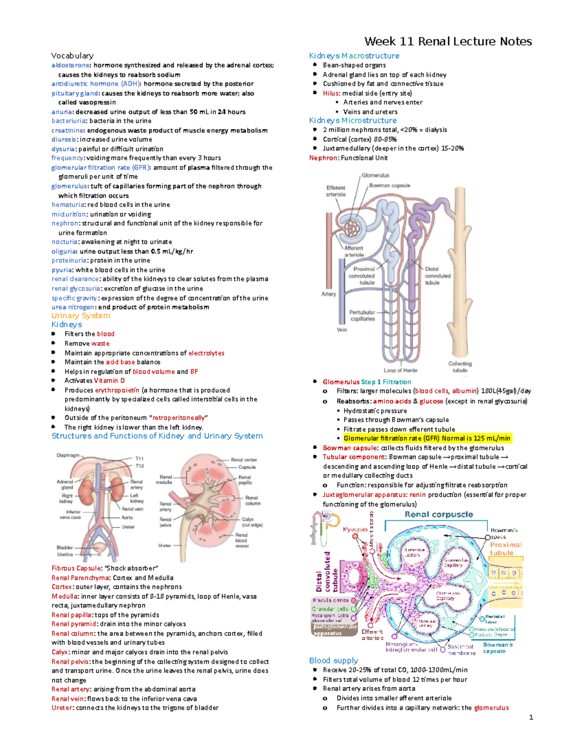 Urinary med surg lecture notes - Week 11 Renal Lecture Notes Vocabulary ...