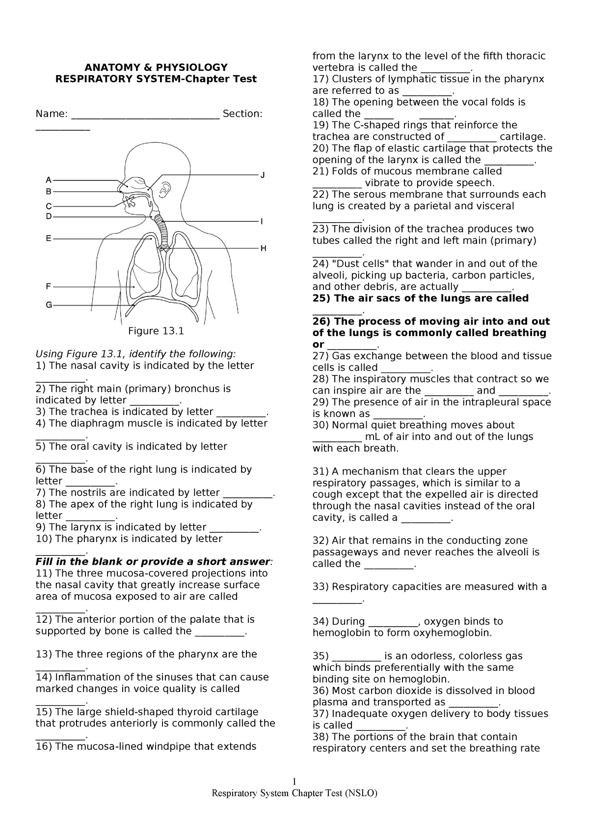 Respi-Chapter-Test - asdfghjkl - ANATOMY & PHYSIOLOGY RESPIRATORY ...