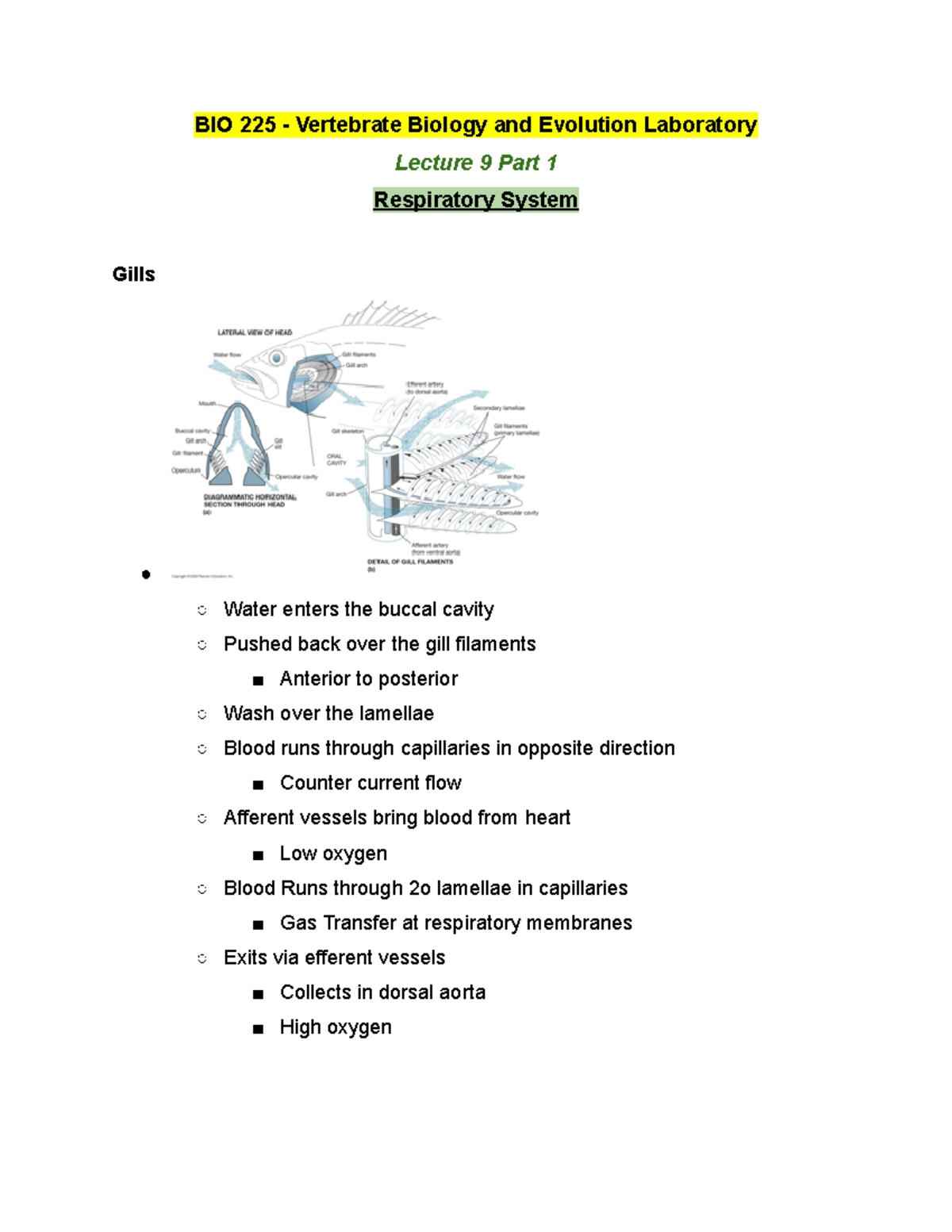 BIO 225 Lecture 9 Part 1- Winter 2019 - BIO 225 - Vertebrate Biology ...