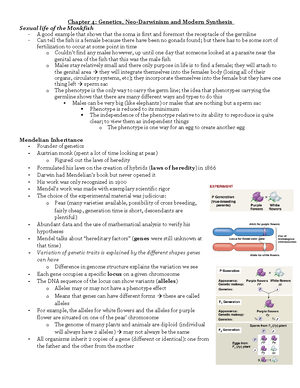 Gizmo- Homeostasis STEM Case Study - Homeostasis - STEM Case and ...