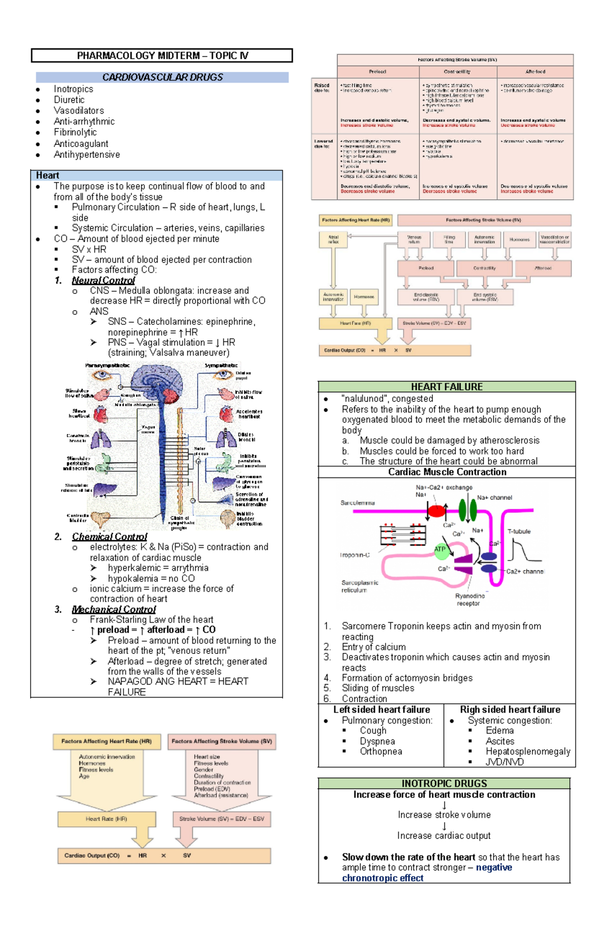 PCOL CV - Lecture notes 3 - PHARMACOLOGY MIDTERM – TOPIC IV ...