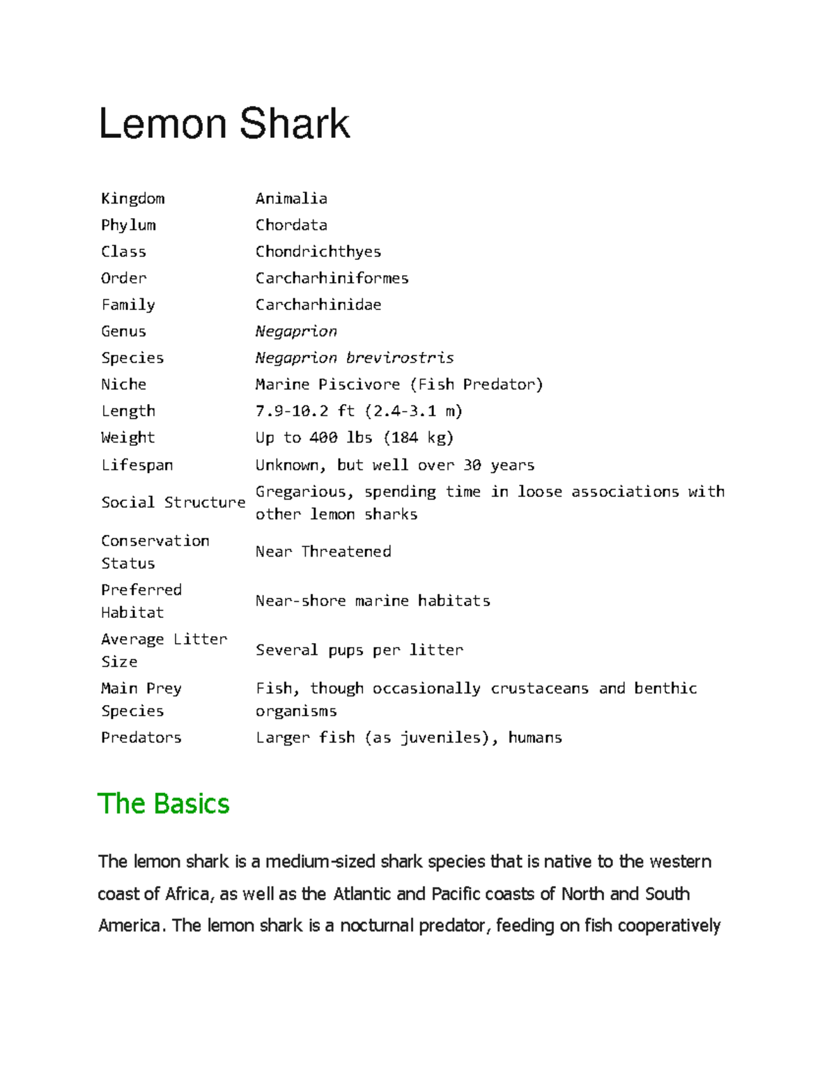 Lemon Shark Lemon Shark Kingdom Animalia Phylum Chordata Class