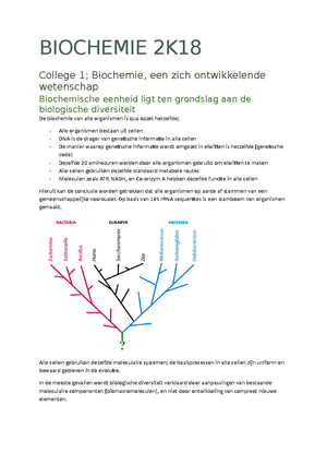 Biochemie Samenvatting - Biochemie Samenvatting Enzymes: Basic Concepts ...