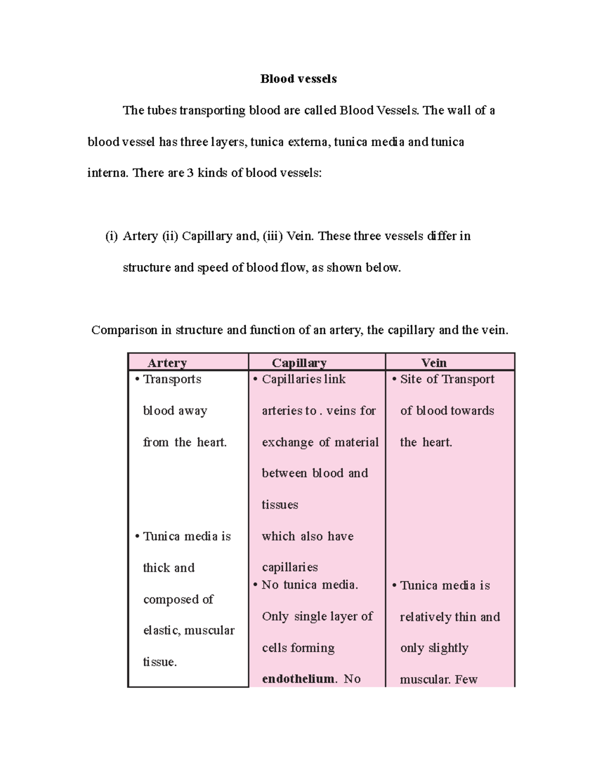 Notes About Blood Vessels - Blood Vessels The Tubes Transporting Blood ...