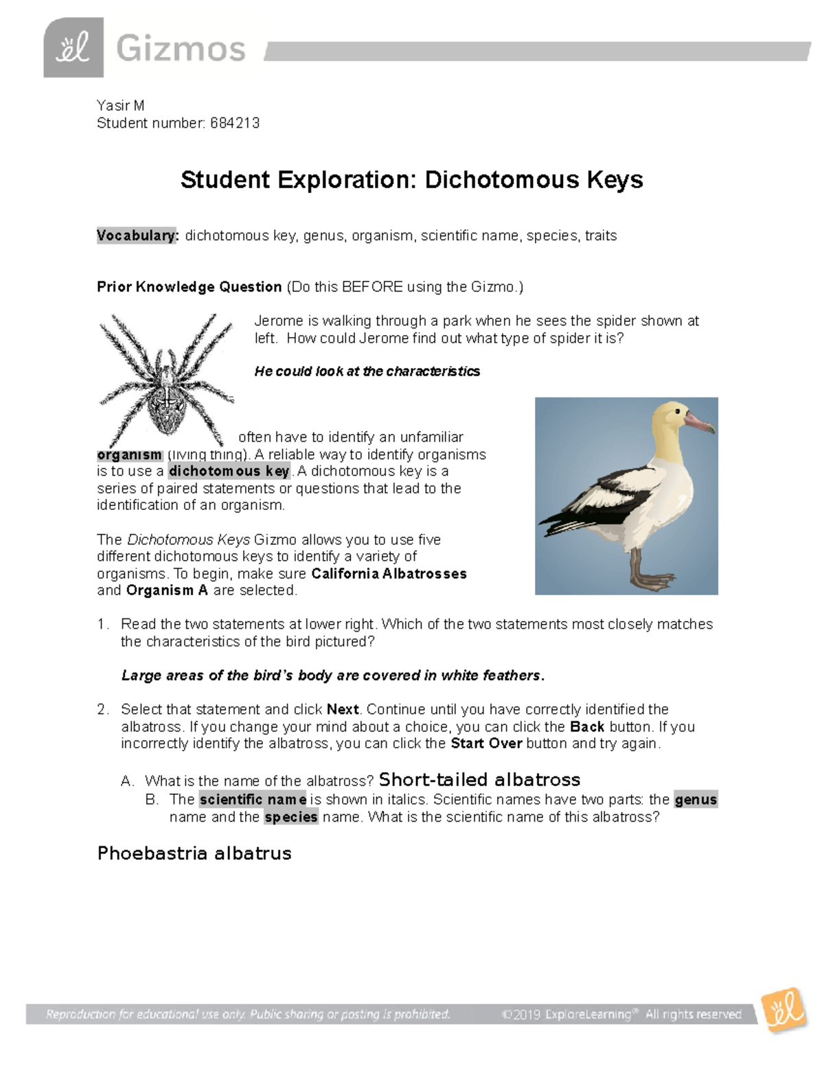 dichotomous-key-gizmo-yasir-m-student-number-684213-student